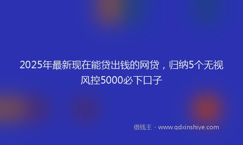 2025年最新现在能贷出钱的网贷，归纳5个无视风控5000必下口子