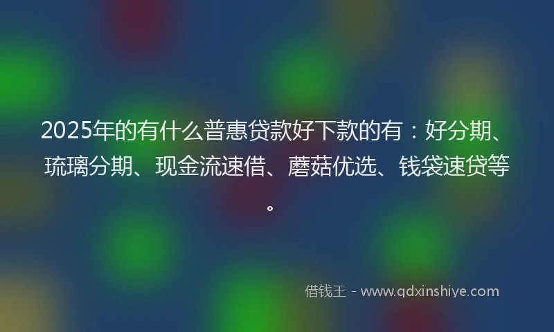 2025年的有什么普惠贷款好下款的有：好分期、琉璃分期、现金流速借、蘑菇优选、钱袋速贷等。