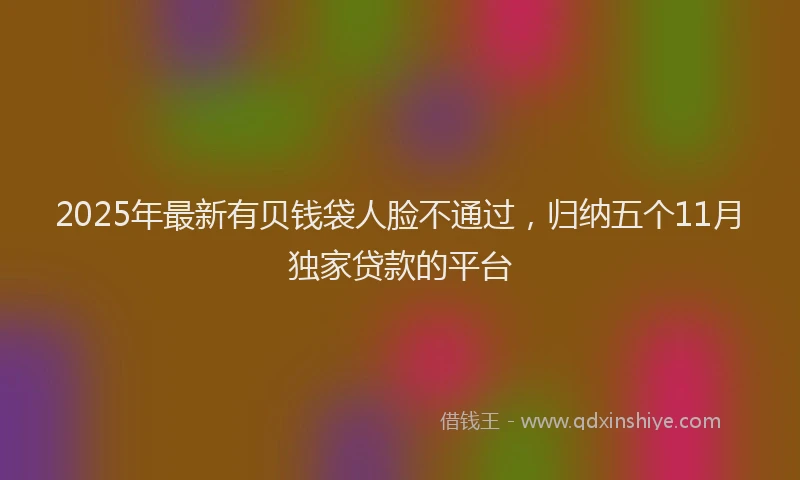 2025年最新有贝钱袋人脸不通过，归纳五个11月独家贷款的平台