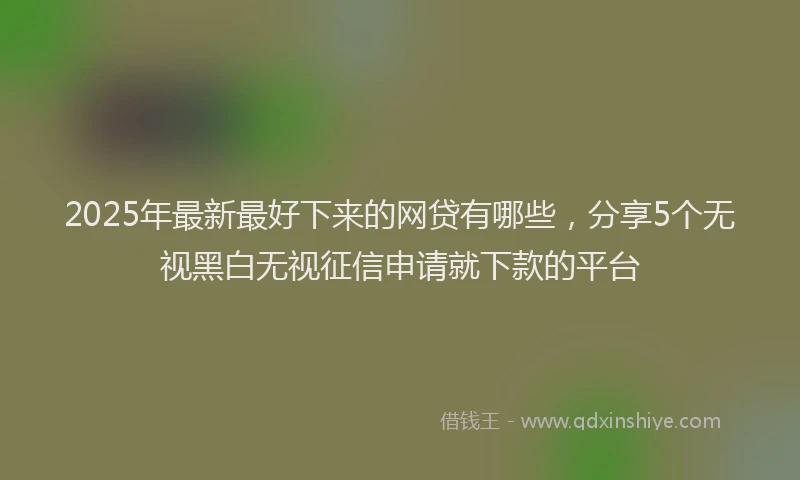 2025年最新最好下来的网贷有哪些，分享5个无视黑白无视征信申请就下款的平台