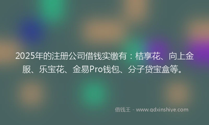 2025年的注册公司借钱实缴有：桔享花、向上金服、乐宝花、金易Pro钱包、分子贷宝盒等。