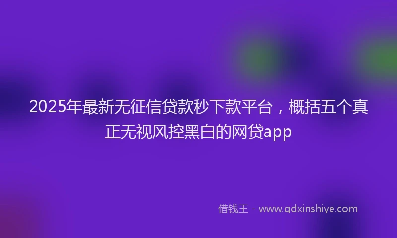 2025年最新无征信贷款秒下款平台，概括五个真正无视风控黑白的网贷app