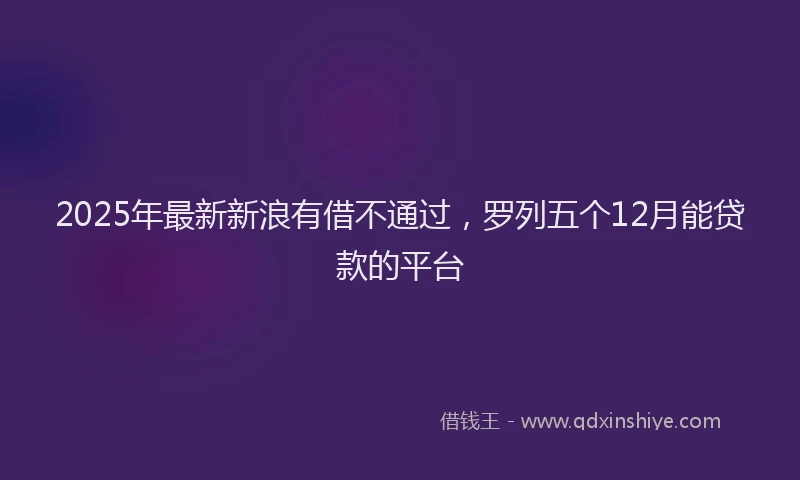 2025年最新新浪有借不通过，罗列五个12月能贷款的平台