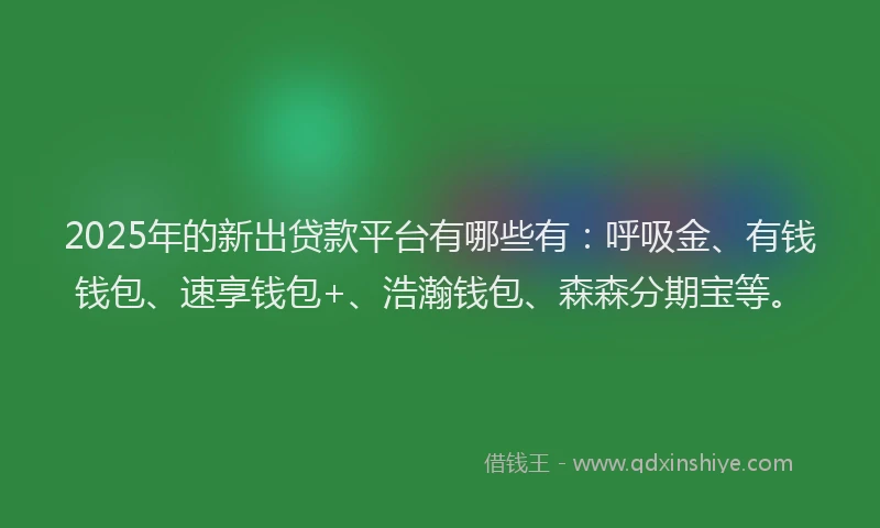 2025年的新出贷款平台有哪些有：呼吸金、有钱钱包、速享钱包+、浩瀚钱包、森森分期宝等。