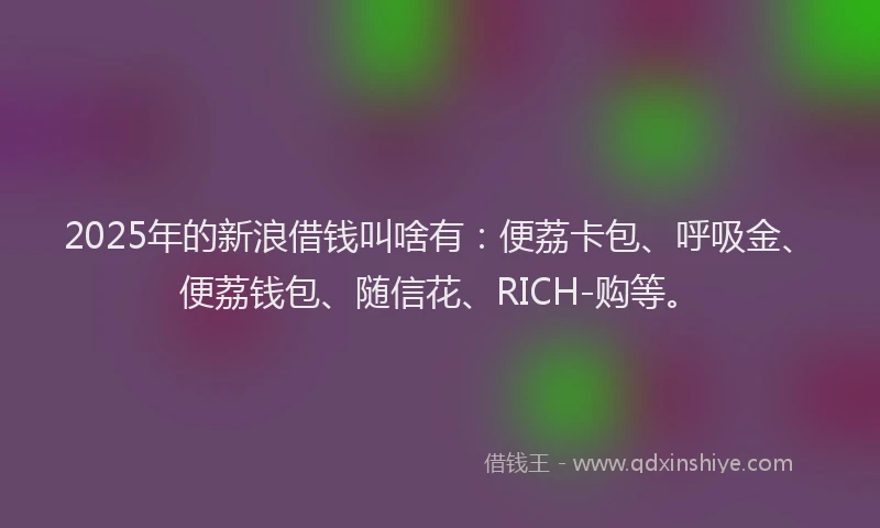 2025年的新浪借钱叫啥有：便荔卡包、呼吸金、便荔钱包、随信花、RICH-购等。