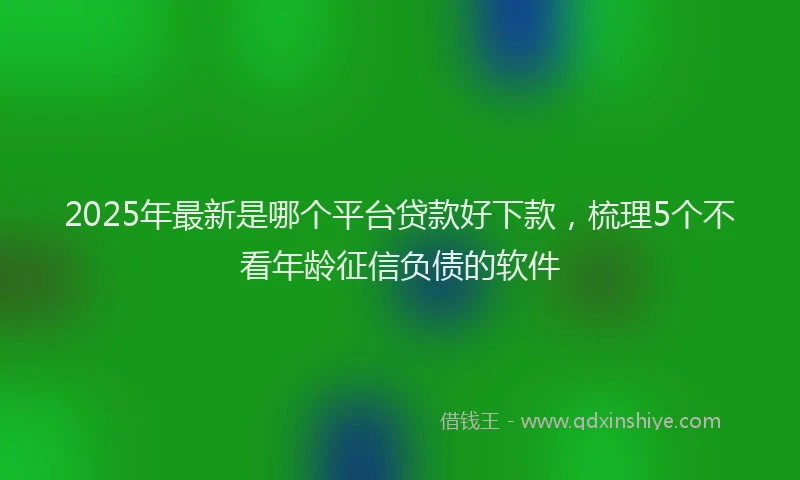 2025年最新是哪个平台贷款好下款，梳理5个不看年龄征信负债的软件