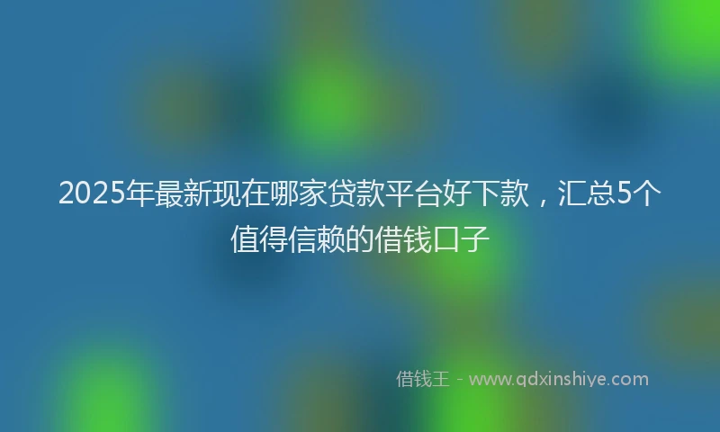 2025年最新现在哪家贷款平台好下款，汇总5个值得信赖的借钱口子