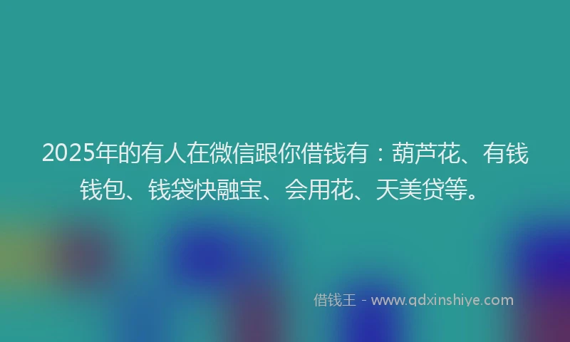 2025年的有人在微信跟你借钱有：葫芦花、有钱钱包、钱袋快融宝、会用花、天美贷等。