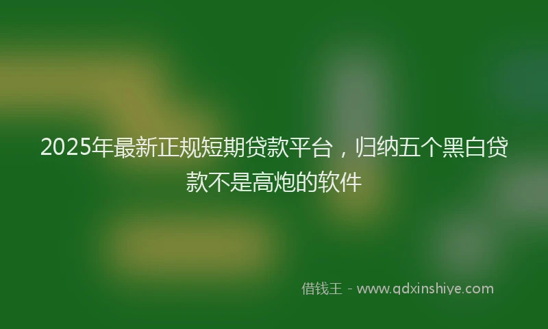 2025年最新正规短期贷款平台，归纳五个黑白贷款不是高炮的软件