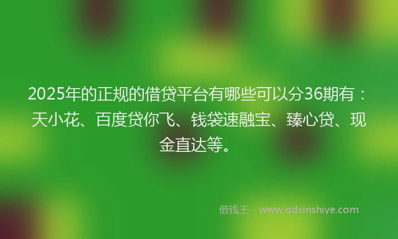 2025年的正规的借贷平台有哪些可以分36期有：天小花、百度贷你飞、钱袋速融宝、臻心贷、现金直达等。