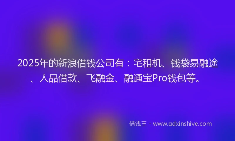 2025年的新浪借钱公司有：宅租机、钱袋易融途、人品借款、飞融金、融通宝Pro钱包等。