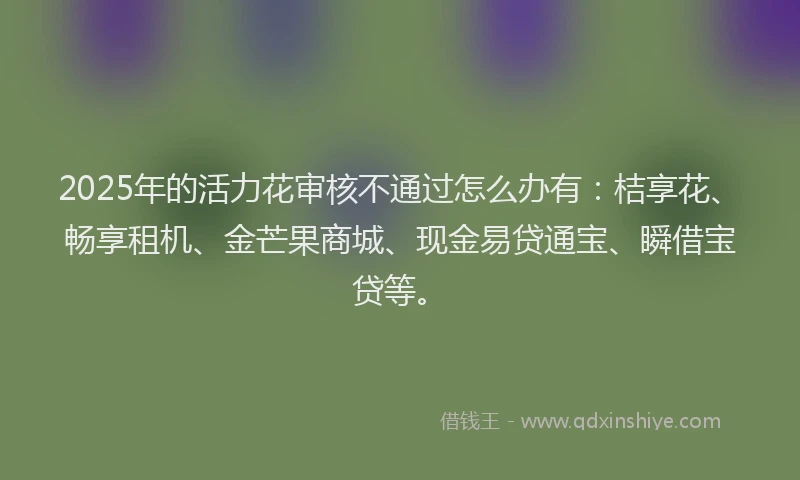 2025年的活力花审核不通过怎么办有：桔享花、畅享租机、金芒果商城、现金易贷通宝、瞬借宝贷等。