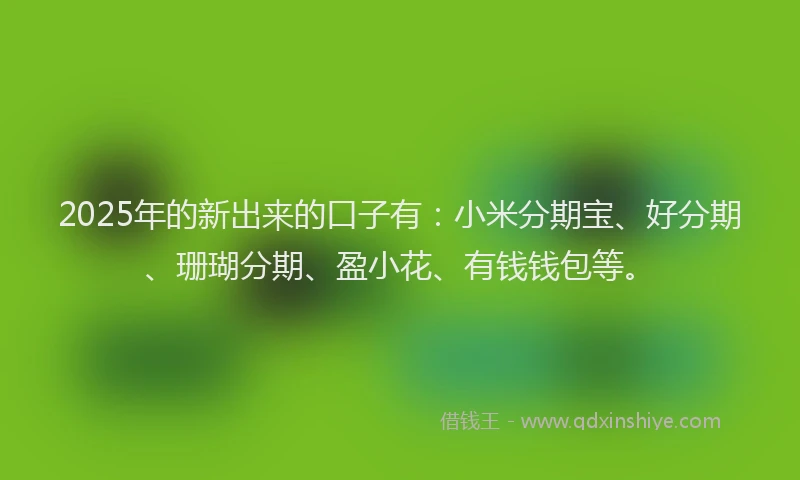 2025年的新出来的口子有：小米分期宝、好分期、珊瑚分期、盈小花、有钱钱包等。