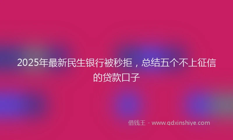2025年最新民生银行被秒拒，总结五个不上征信的贷款口子