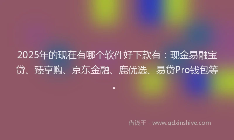 2025年的现在有哪个软件好下款有：现金易融宝贷、臻享购、京东金融、鹿优选、易贷Pro钱包等。