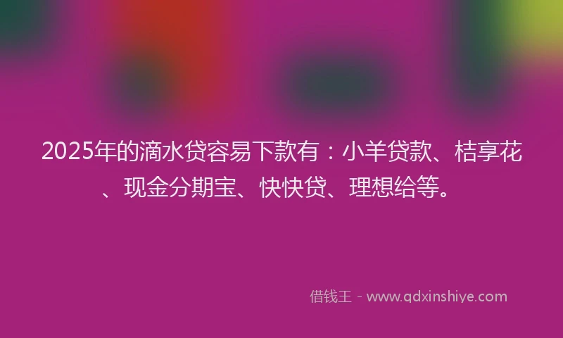 2025年的滴水贷容易下款有：小羊贷款、桔享花、现金分期宝、快快贷、理想给等。