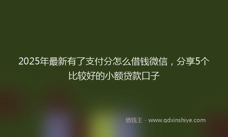 2025年最新有了支付分怎么借钱微信，分享5个比较好的小额贷款口子