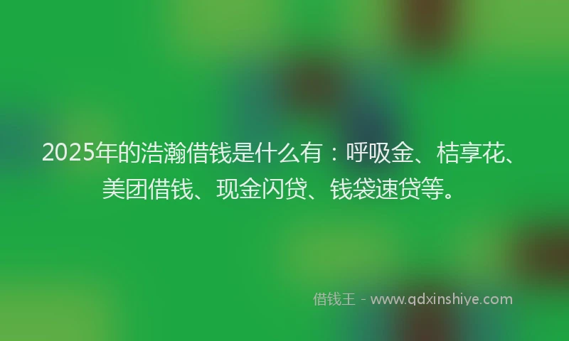 2025年的浩瀚借钱是什么有：呼吸金、桔享花、美团借钱、现金闪贷、钱袋速贷等。