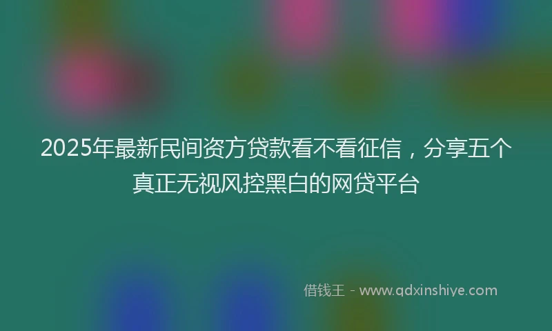 2025年最新民间资方贷款看不看征信，分享五个真正无视风控黑白的网贷平台