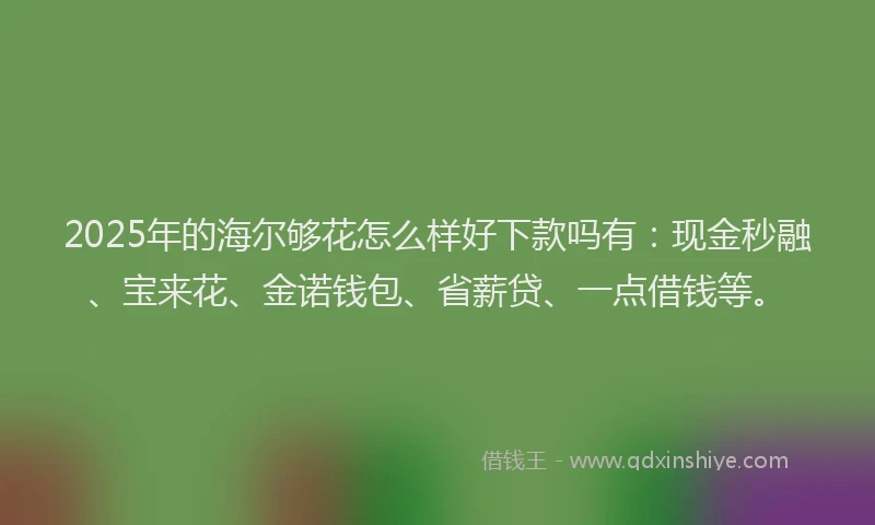 2025年的海尔够花怎么样好下款吗有：现金秒融、宝来花、金诺钱包、省薪贷、一点借钱等。