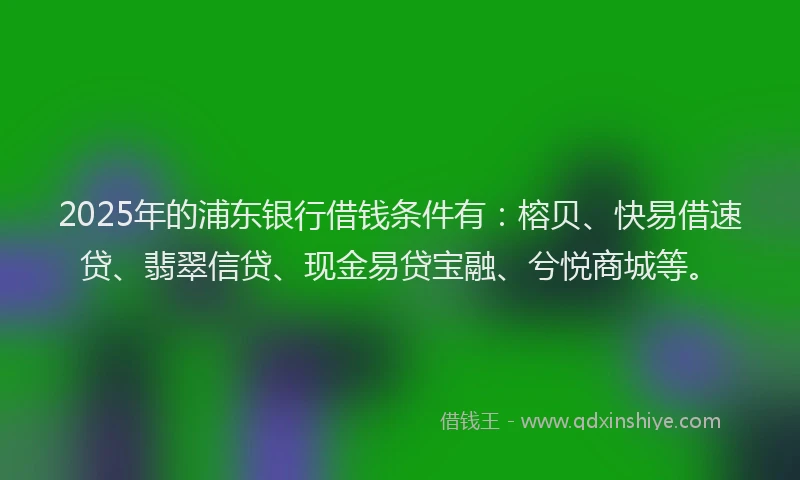 2025年的浦东银行借钱条件有：榕贝、快易借速贷、翡翠信贷、现金易贷宝融、兮悦商城等。