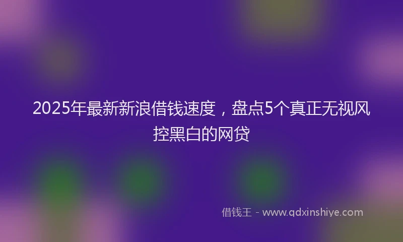 2025年最新新浪借钱速度，盘点5个真正无视风控黑白的网贷
