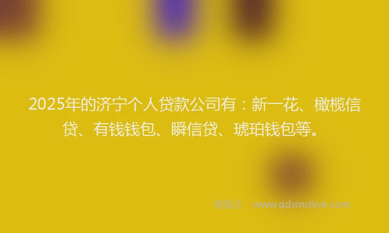 2025年的济宁个人贷款公司有：新一花、橄榄信贷、有钱钱包、瞬信贷、琥珀钱包等。