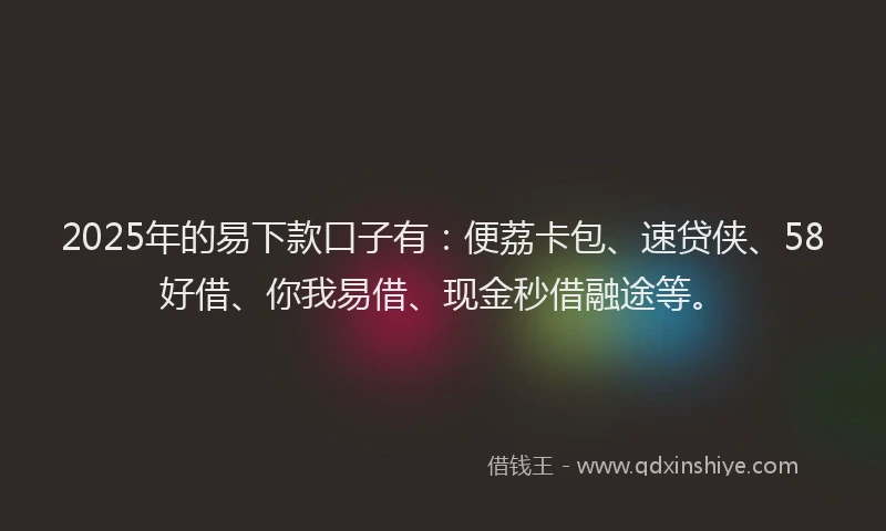 2025年的易下款口子有：便荔卡包、速贷侠、58好借、你我易借、现金秒借融途等。