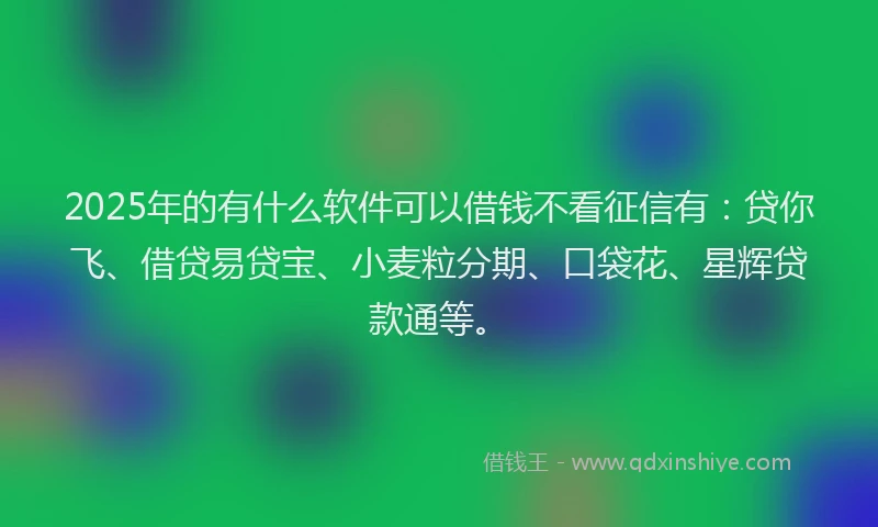 2025年的有什么软件可以借钱不看征信有：贷你飞、借贷易贷宝、小麦粒分期、口袋花、星辉贷款通等。