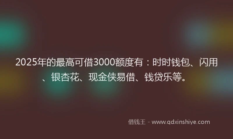 2025年的最高可借3000额度有：时时钱包、闪用、银杏花、现金侠易借、钱贷乐等。
