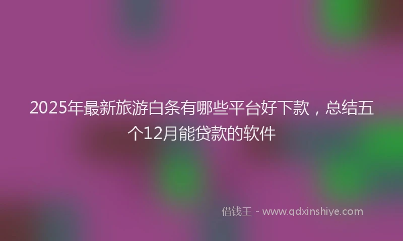 2025年最新旅游白条有哪些平台好下款，总结五个12月能贷款的软件