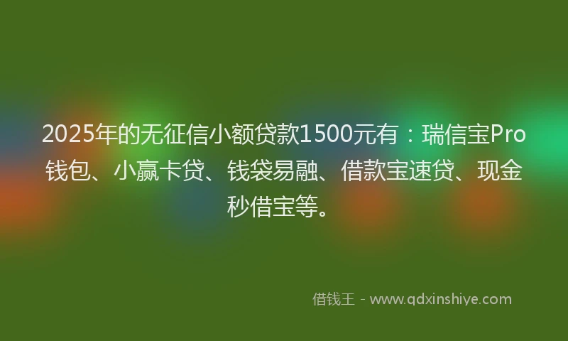 2025年的无征信小额贷款1500元有：瑞信宝Pro钱包、小赢卡贷、钱袋易融、借款宝速贷、现金秒借宝等。