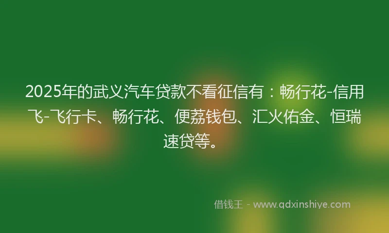 2025年的武义汽车贷款不看征信有：畅行花-信用飞-飞行卡、畅行花、便荔钱包、汇火佑金、恒瑞速贷等。