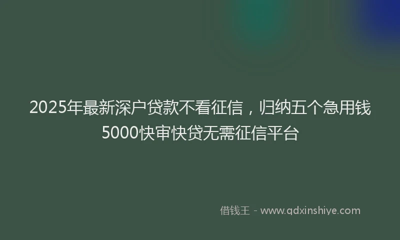 2025年最新深户贷款不看征信，归纳五个急用钱5000快审快贷无需征信平台