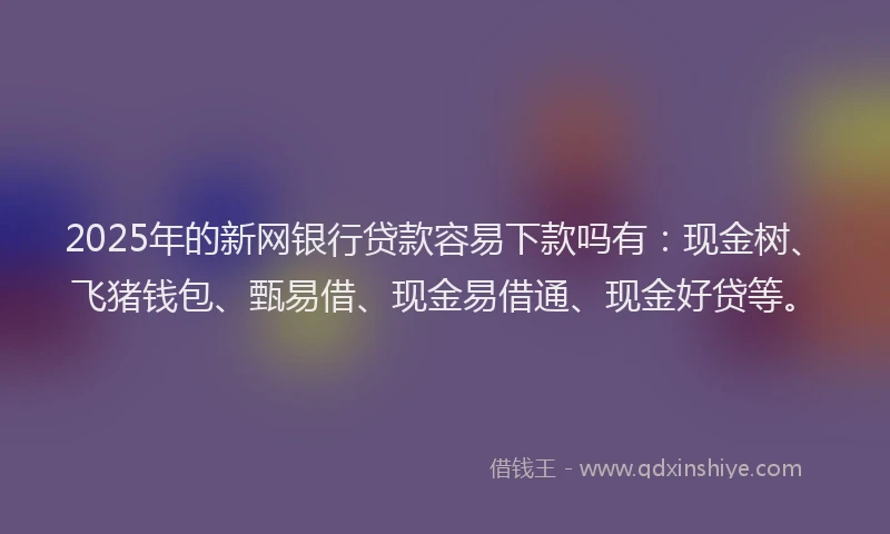 2025年的新网银行贷款容易下款吗有：现金树、飞猪钱包、甄易借、现金易借通、现金好贷等。