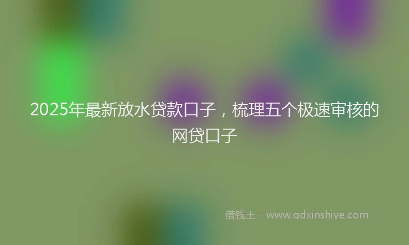 2025年最新放水贷款口子，梳理五个极速审核的网贷口子