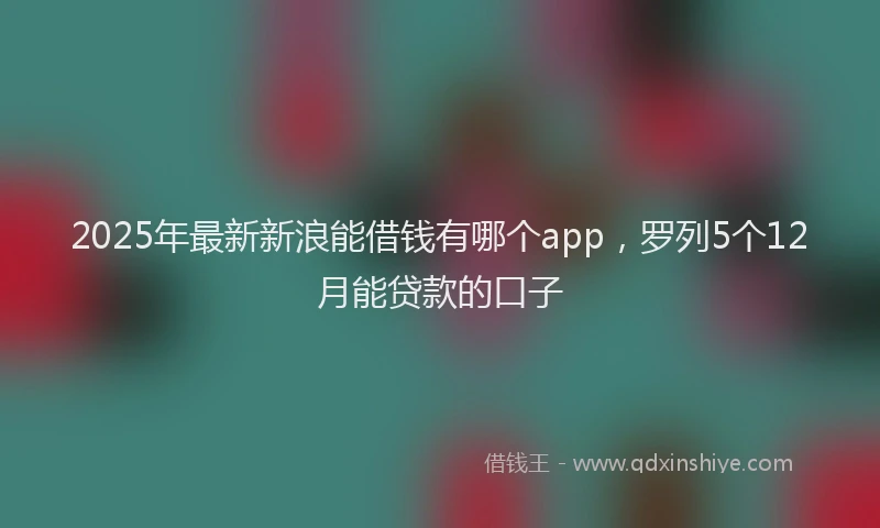 2025年最新新浪能借钱有哪个app，罗列5个12月能贷款的口子