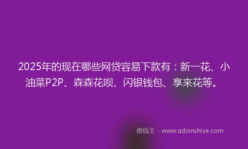 2025年的现在哪些网贷容易下款有：新一花、小油菜P2P、森森花呗、闪银钱包、享来花等。
