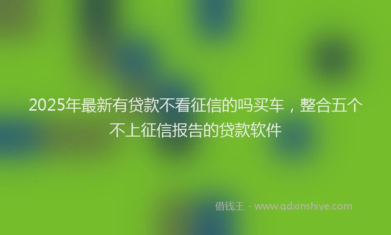 2025年最新有贷款不看征信的吗买车，整合五个不上征信报告的贷款软件