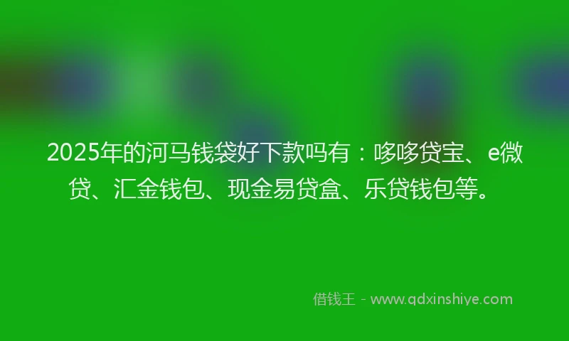 2025年的河马钱袋好下款吗有：哆哆贷宝、e微贷、汇金钱包、现金易贷盒、乐贷钱包等。