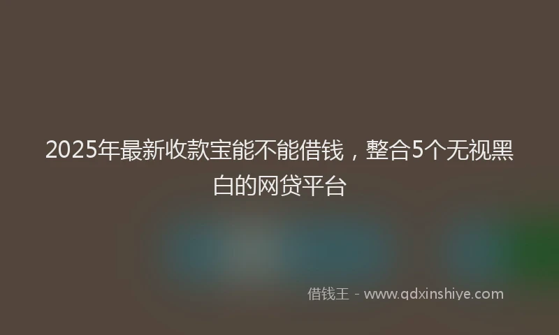 2025年最新收款宝能不能借钱，整合5个无视黑白的网贷平台