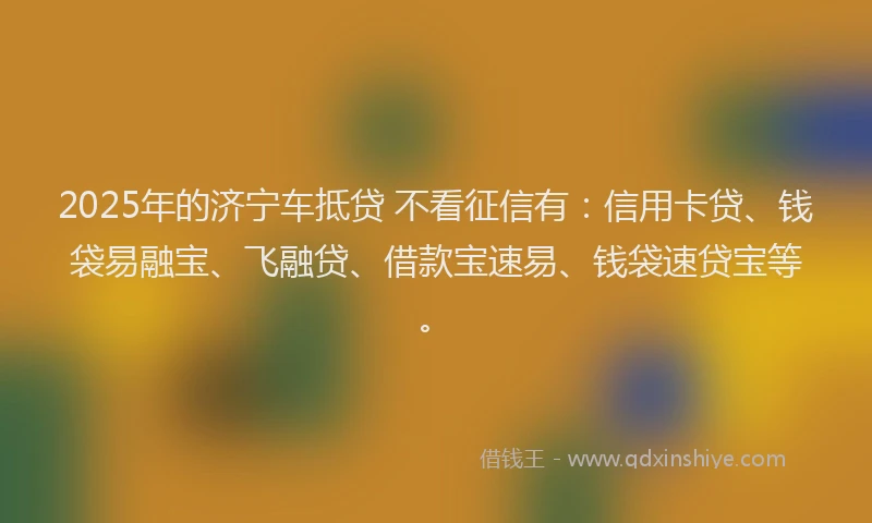 2025年的济宁车抵贷 不看征信有：信用卡贷、钱袋易融宝、飞融贷、借款宝速易、钱袋速贷宝等。