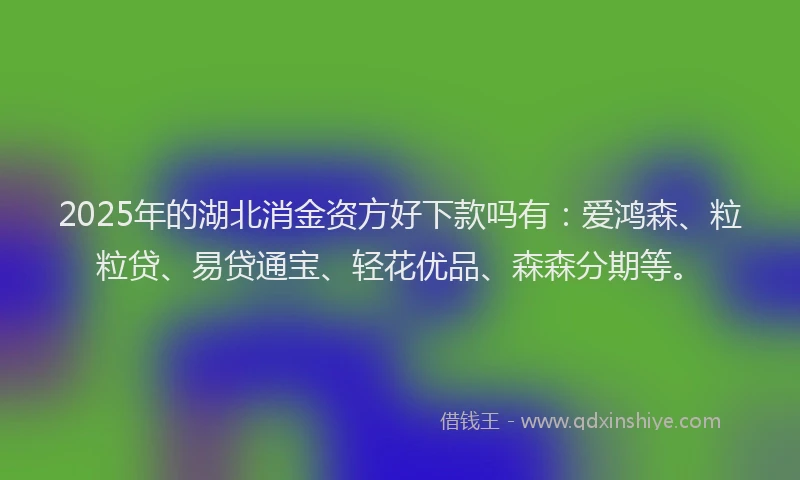 2025年的湖北消金资方好下款吗有：爱鸿森、粒粒贷、易贷通宝、轻花优品、森森分期等。