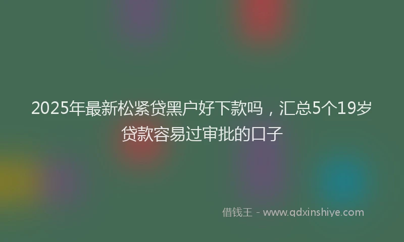2025年最新松紧贷黑户好下款吗，汇总5个19岁贷款容易过审批的口子