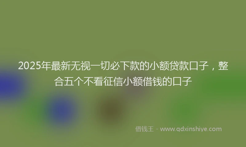 2025年最新无视一切必下款的小额贷款口子，整合五个不看征信小额借钱的口子