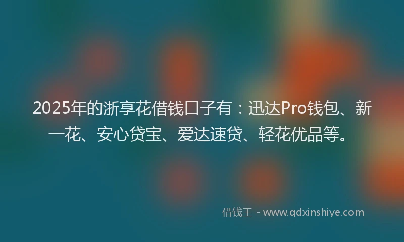 2025年的浙享花借钱口子有：迅达Pro钱包、新一花、安心贷宝、爱达速贷、轻花优品等。