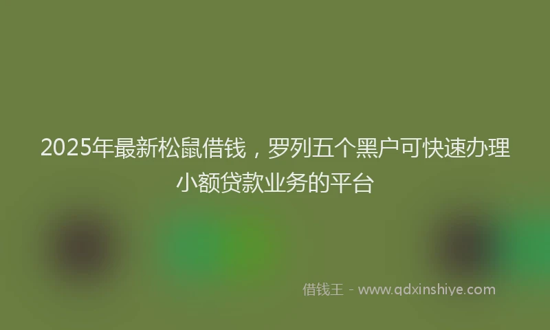 2025年最新松鼠借钱，罗列五个黑户可快速办理小额贷款业务的平台