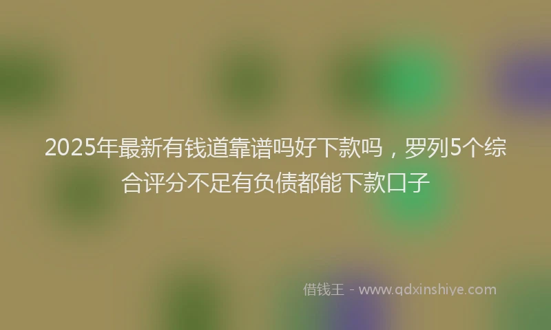 2025年最新有钱道靠谱吗好下款吗，罗列5个综合评分不足有负债都能下款口子