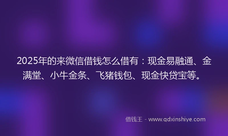 2025年的来微信借钱怎么借有：现金易融通、金满堂、小牛金条、飞猪钱包、现金快贷宝等。