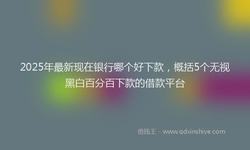 2025年最新现在银行哪个好下款，概括5个无视黑白百分百下款的借款平台